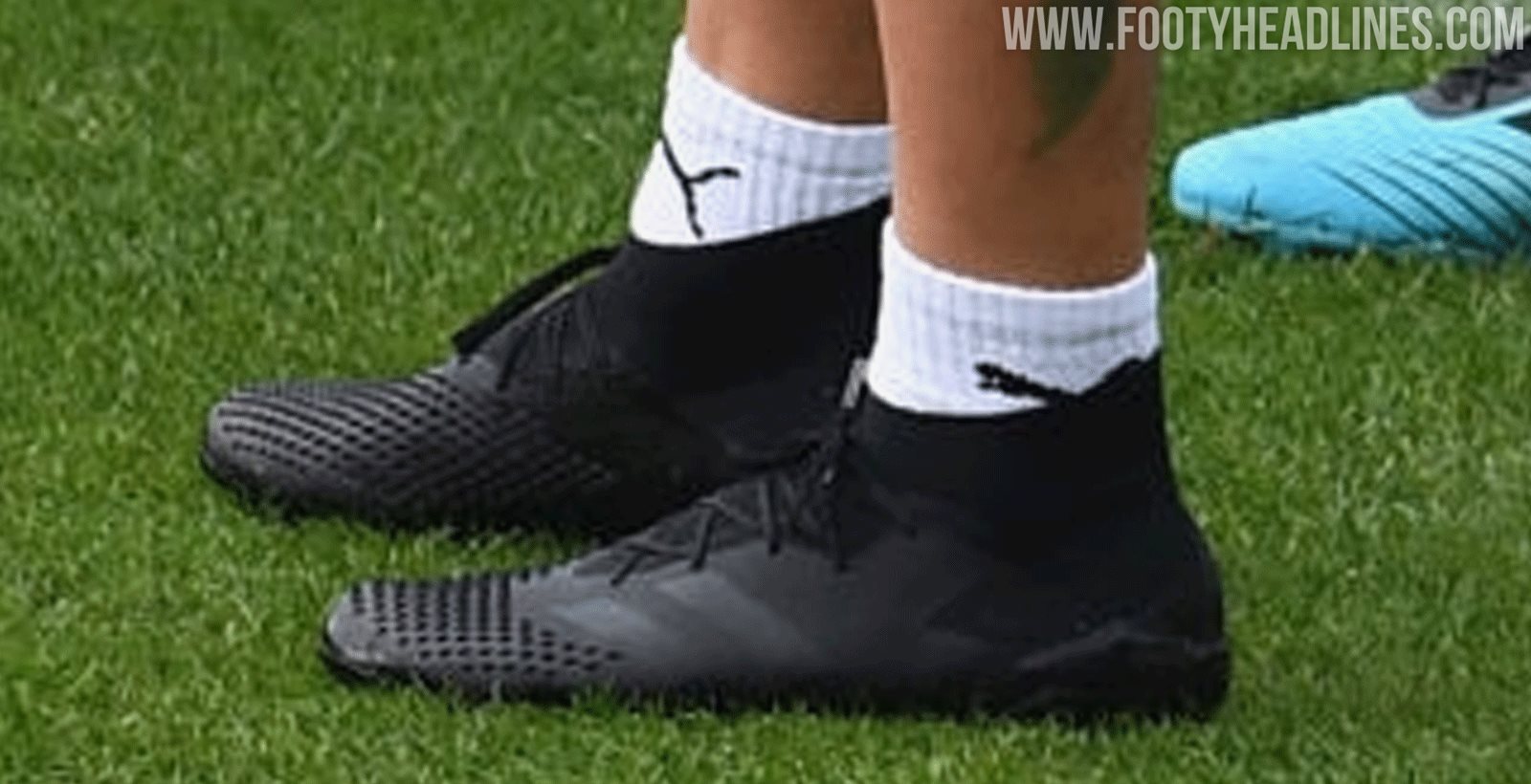 Adidas predator online 20.1 gloves